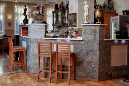 hotel - Hotel Stary Młyn Żory - zdjęcie 4