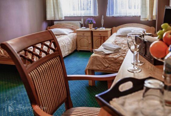 hotel - Hotel Stary Młyn Żory - Pokoje - zdjęcie 1