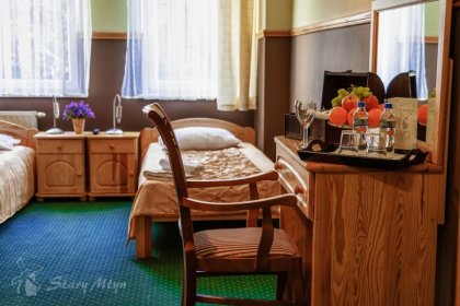 hotel - Hotel Stary Młyn Żory - zdjęcie 10