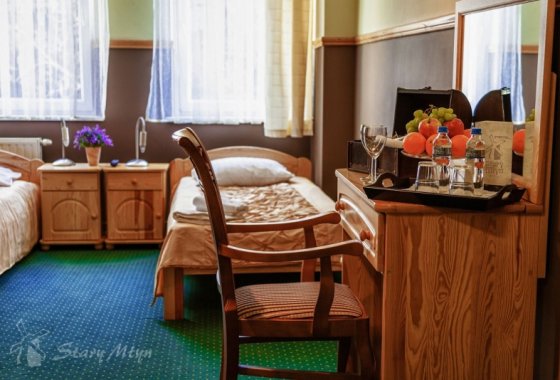 hotel - Hotel Stary Młyn Żory - Pokoje - zdjęcie 2