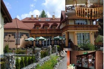 hotel - Hotel pod Gołębiem - zdjęcie 1
