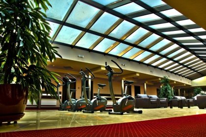 hotel *** - Hotel Diament Spodek Katowice*** - zdjęcie 4