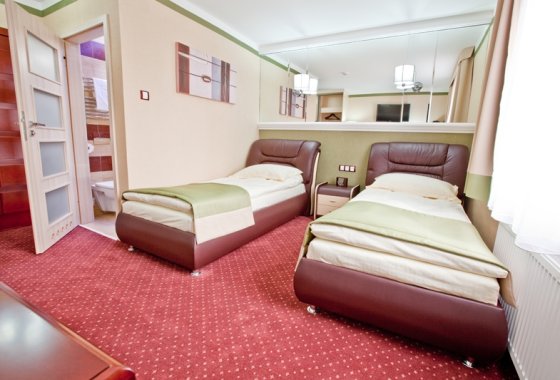 hotel - M Hotel Sosnowiec - Pokoje - zdjęcie 7