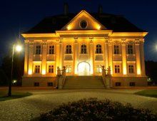 Pałac Borynia