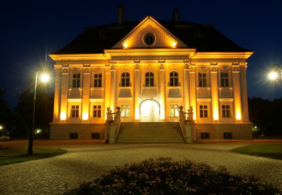 pałac - Pałac Borynia