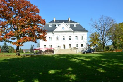 pałac - Pałac Borynia - zdjęcie 4