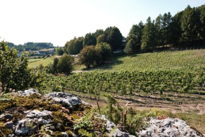 hotel **** - Poziom 511 Jura Wellness Hotel & Spa **** - zdjęcie 2