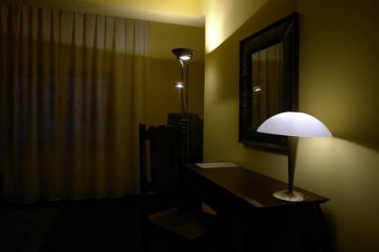 hotel - Hotel & Restauracja Marysin Dwór - zdjęcie 13