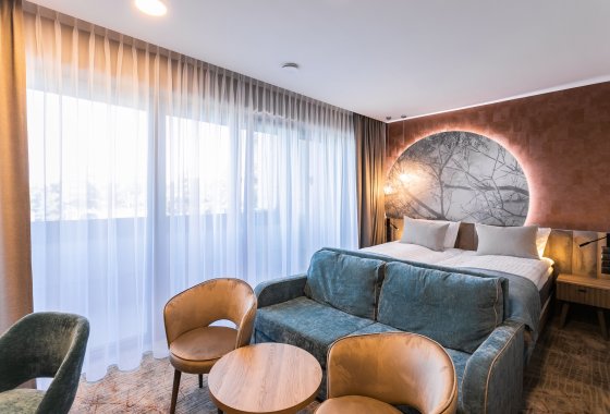 hotel - HOTEL ASTOR by Primavera Hotele - Pokoje - zdjęcie 2