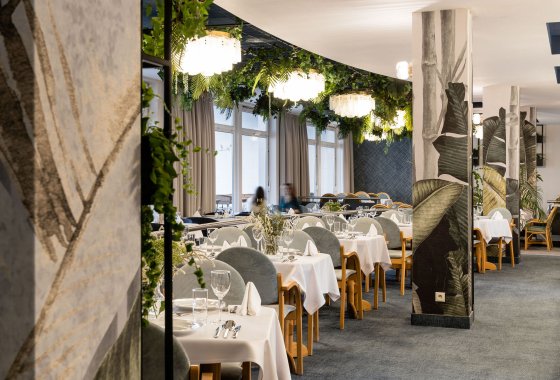 hotel - HOTEL ASTOR by Primavera Hotele - Usługi - zdjęcie 14