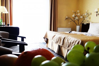 hotel *** - Hotel & Centrum Biznesowe & Restauracja Adria - zdjęcie 11