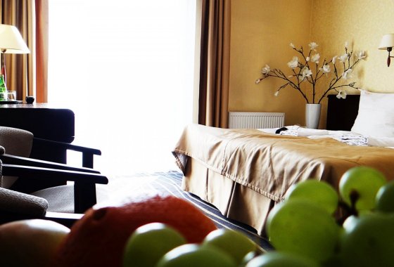 hotel *** - Hotel & Centrum Biznesowe & Restauracja Adria - Pokoje - zdjęcie 6