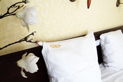 hotel *** - Hotel & Centrum Biznesowe & Restauracja Adria - zdjęcie 8