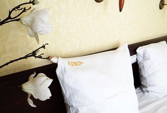 hotel *** - Hotel & Centrum Biznesowe & Restauracja Adria - Pokoje - zdjęcie 3