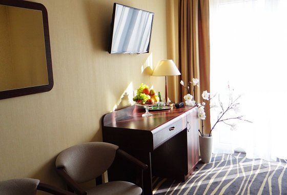 hotel *** - Hotel & Centrum Biznesowe & Restauracja Adria - Pokoje - zdjęcie 10