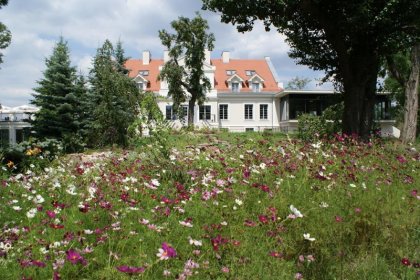 hotel **** - Herbarium Hotel & Spa - zdjęcie 4