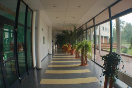 hotel - Hotel Uniwersytecki Uniwersytetu Mikołaja Kopernika - zdjęcie 1
