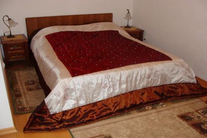 hotel - Hotel Uniwersytecki Uniwersytetu Mikołaja Kopernika - zdjęcie 12
