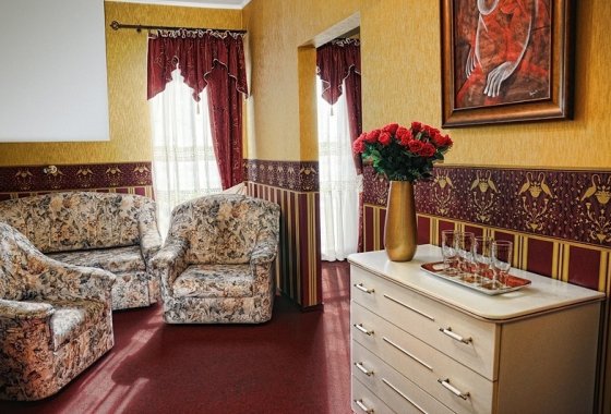 hotel *** - Hotel Podgrodzie - Pokoje - zdjęcie 3
