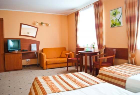 hotel *** - Hotel City w Grudziądzu - Pokoje - zdjęcie 3