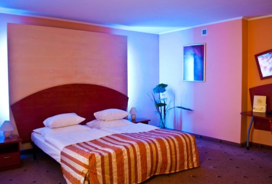 hotel *** - Hotel City w Grudziądzu - Pokoje - zdjęcie 4