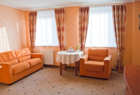 hotel *** - Hotel City w Grudziądzu - Pokoje - zdjęcie 5
