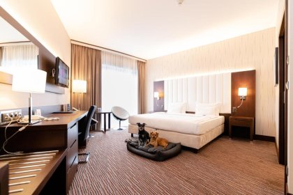 hotel **** - Copernicus Toruń Hotel - zdjęcie 11