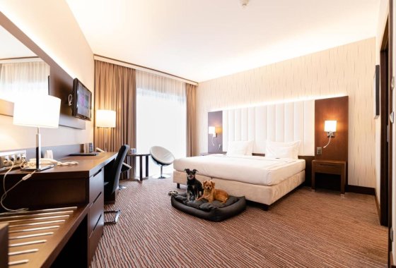 hotel **** - Copernicus Toruń Hotel - Pokoje - zdjęcie 2