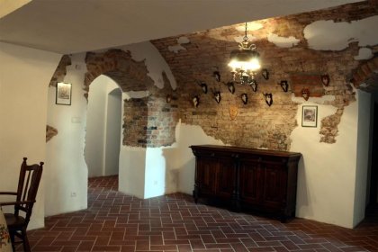 dworek - Dwór Strzyżew - zdjęcie 2
