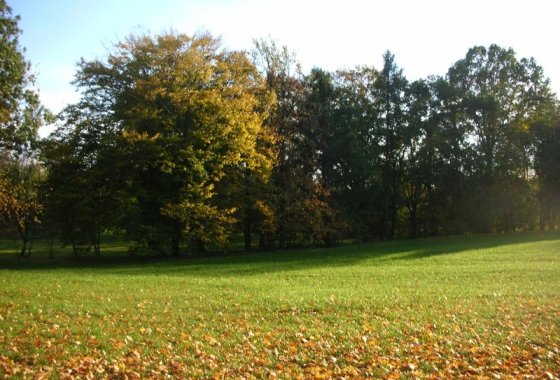 dworek - Dwór Strzyżew - Usługi - zdjęcie 3
