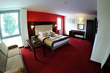 hotel *** - Hotel *** Pikul - zdjęcie 5