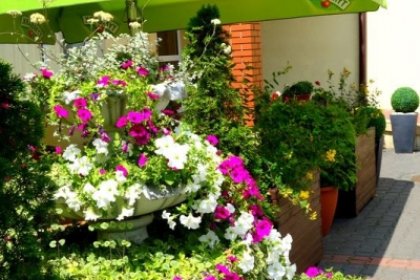hotel - Zajazd Gościnny - zdjęcie 3