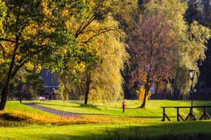 hotel **** - Dwór Sanna**** - zdjęcie 3