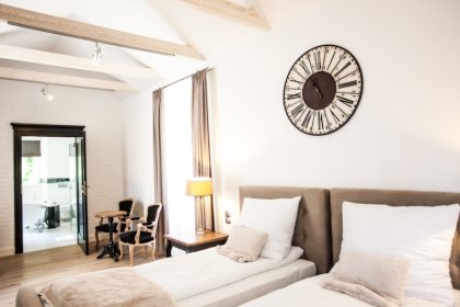hotel **** - Dwór Sanna**** - zdjęcie 8