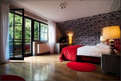 hotel *** - Hotel Berberys*** - zdjęcie 8