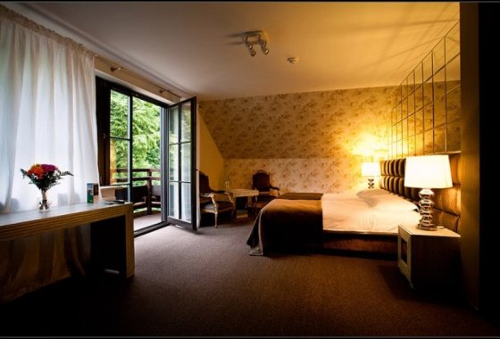 hotel *** - Hotel Berberys*** - Pokoje - zdjęcie 8