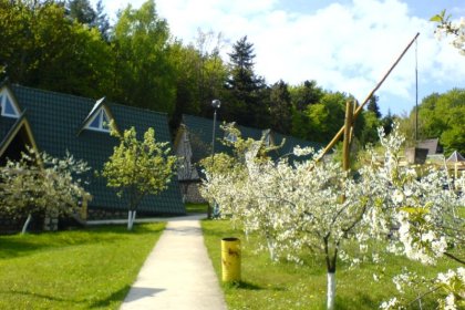 hotel - Ośrodek Szkoleniowo-Wypoczynkowy Pszczeliniec - zdjęcie 4