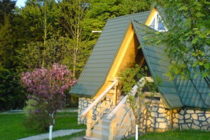 hotel - Ośrodek Szkoleniowo-Wypoczynkowy Pszczeliniec - zdjęcie 2