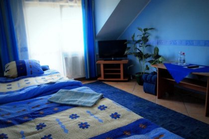 hotel - Ośrodek Szkoleniowo-Wypoczynkowy Pszczeliniec - zdjęcie 11