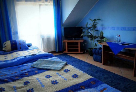 hotel - Ośrodek Szkoleniowo-Wypoczynkowy Pszczeliniec - Pokoje - zdjęcie 1