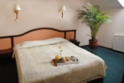 hotel *** - Hotel – Restauracja RAD S.C. - zdjęcie 10