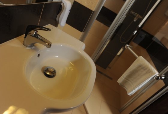 hotel *** - Dwór Choiny*** - Pokoje - zdjęcie 2