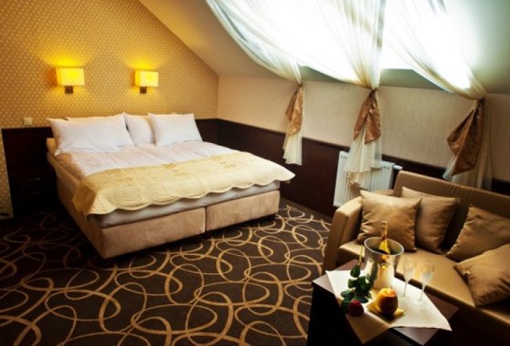 hotel *** - Dwór Choiny*** - Pokoje - zdjęcie 3