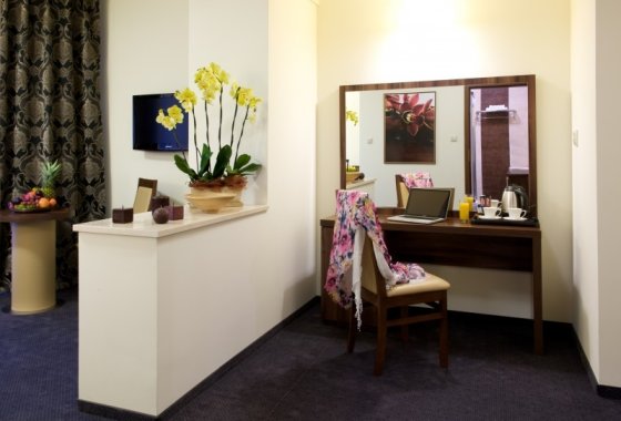 hotel *** - Hotel SPA “Rusałka” - Pokoje - zdjęcie 3