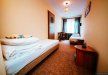 hotel - Leśny Zajazd - zdjęcie 13