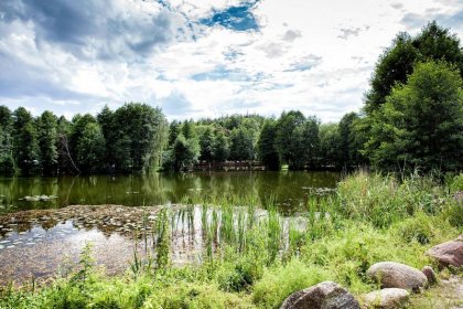 hotel *** - Hotel *** Dworek Wapionka - zdjęcie 5