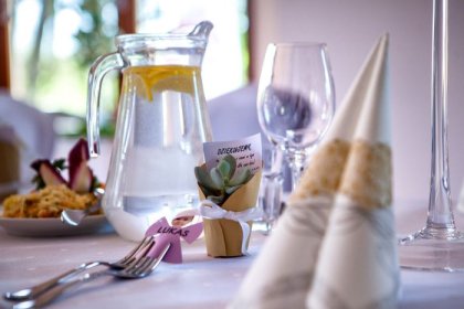 hotel *** - Hotel *** Dworek Wapionka - zdjęcie 13