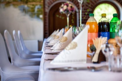 hotel *** - Hotel *** Dworek Wapionka - zdjęcie 16