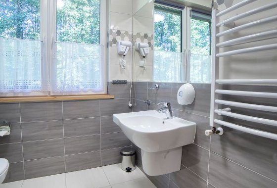 hotel *** - Hotel *** Dworek Wapionka - Pokoje - zdjęcie 10