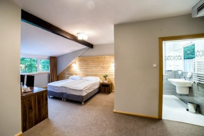 hotel *** - Hotel *** Dworek Wapionka - zdjęcie 40